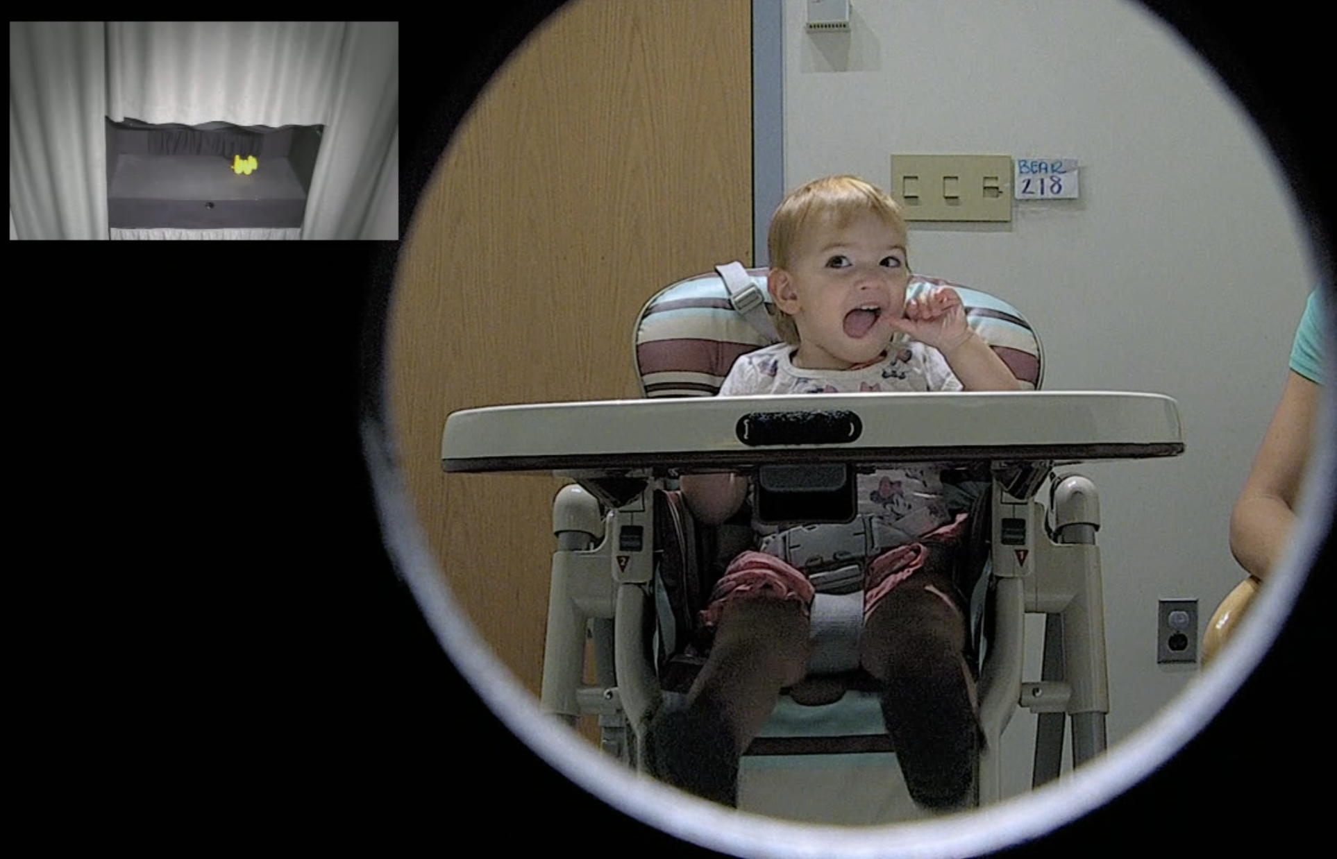 In-Person Studies – Laboratory for Child Development